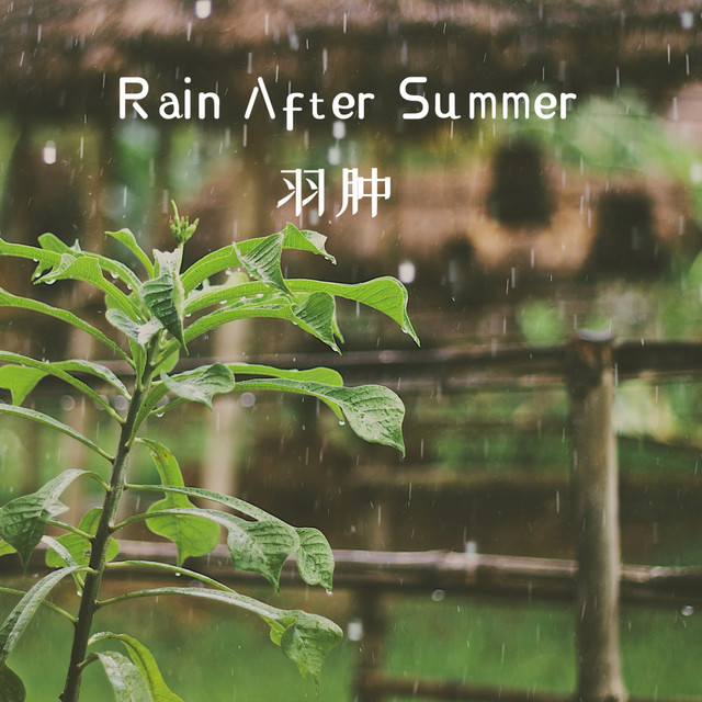 Rain After Summer 羽腫