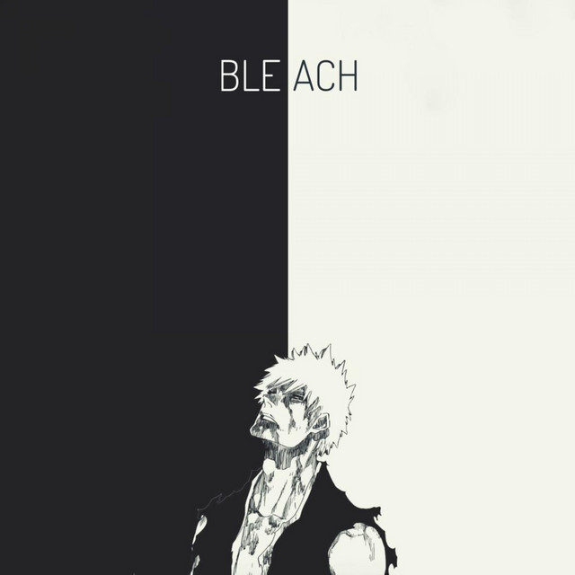 Torn Apart Bleach