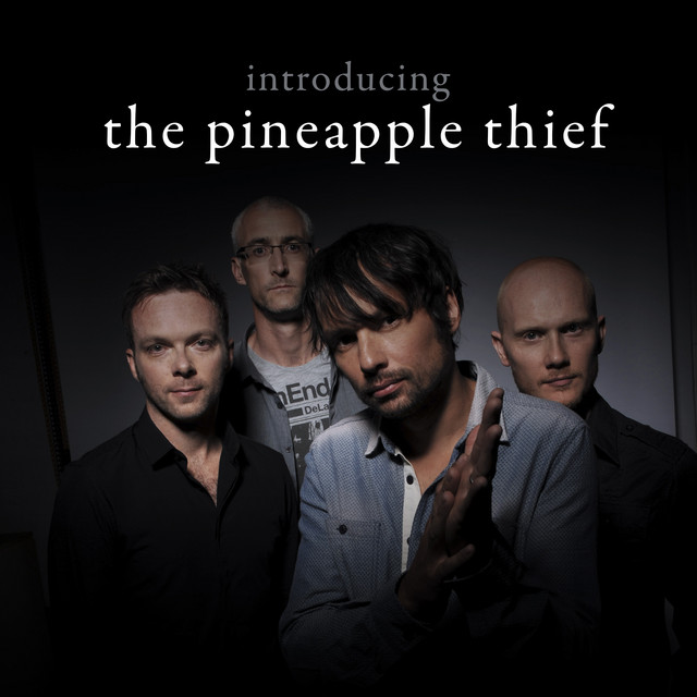 Barely Breathing The Pineapple Thief